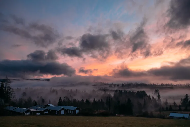 Cook Roberts Estate Litigation